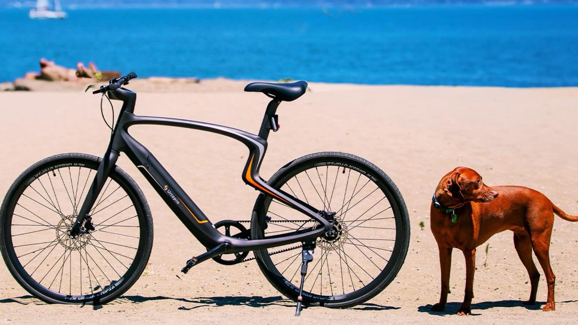 当 E-bike 装上 ChatGPT｜Shine Brand