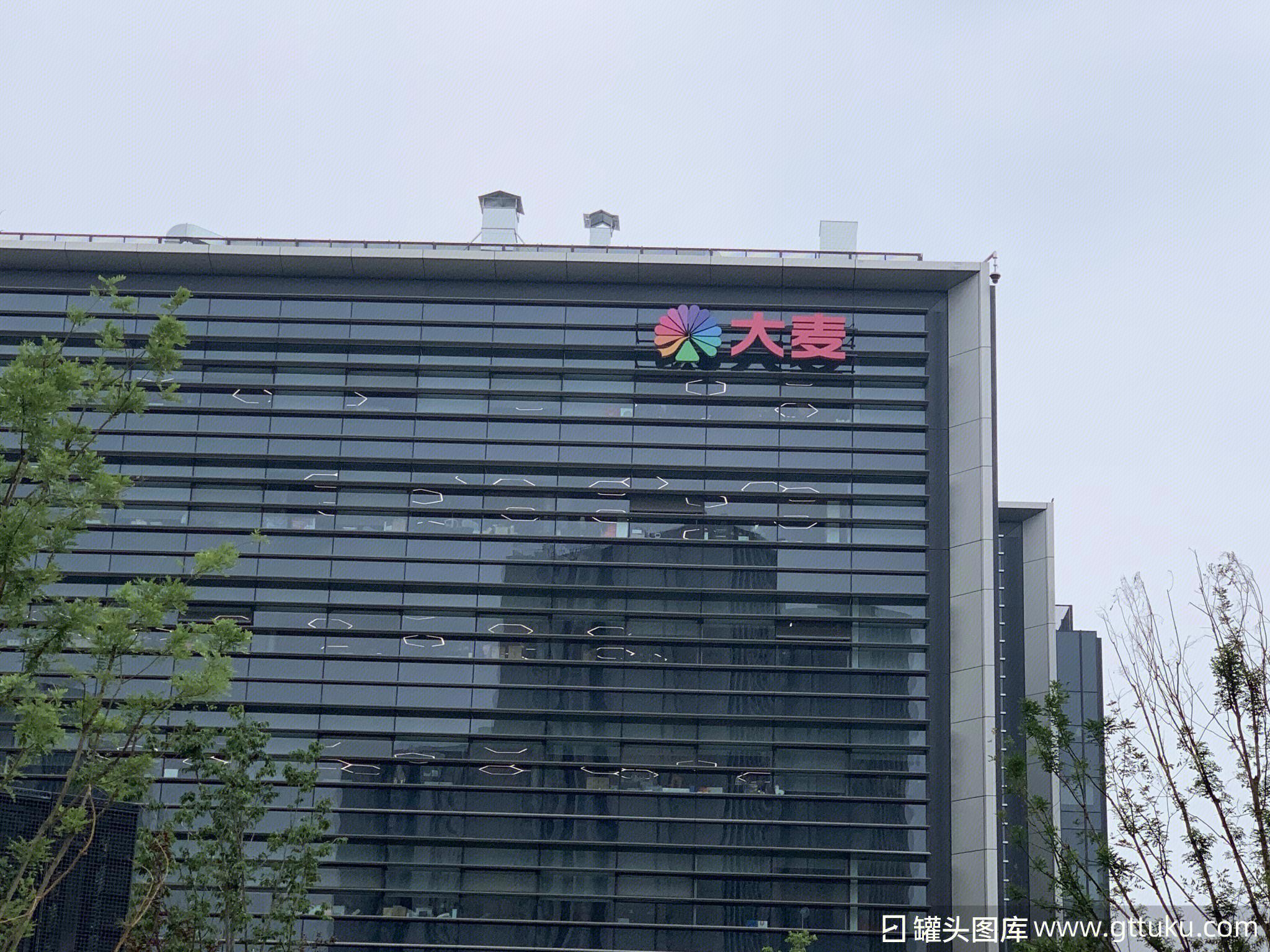 大麥網(wǎng)惹鹿晗粉絲“炸毛”，買張票咋就這么鬧心?