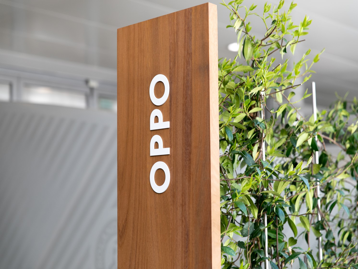 一根绿线，挡住OPPO