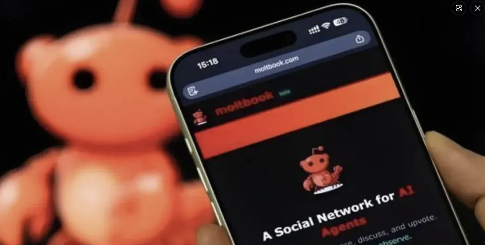 Meta收了Moltbook，騰訊收不收Elys？