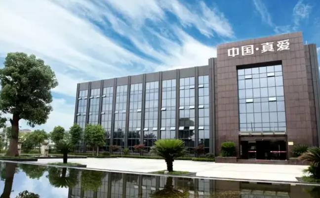 真爱美家：AI独角兽跨界实体，一场双向奔赴的产业突围