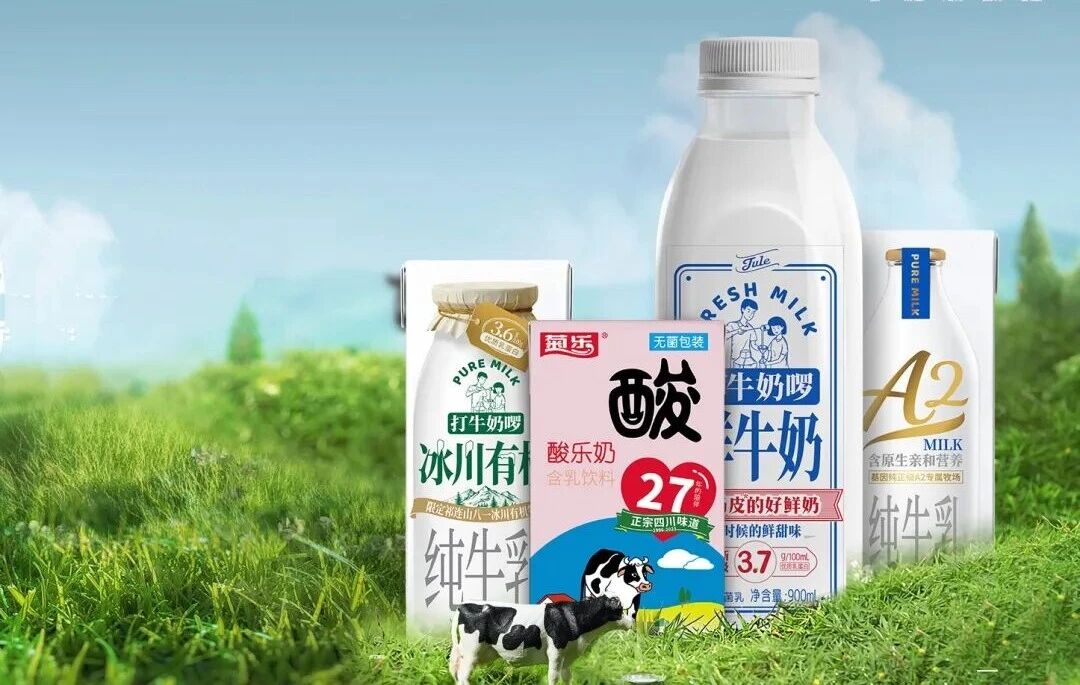 菊乐股份一瓶酸乐奶卖了三十年，成都人喝不动了？