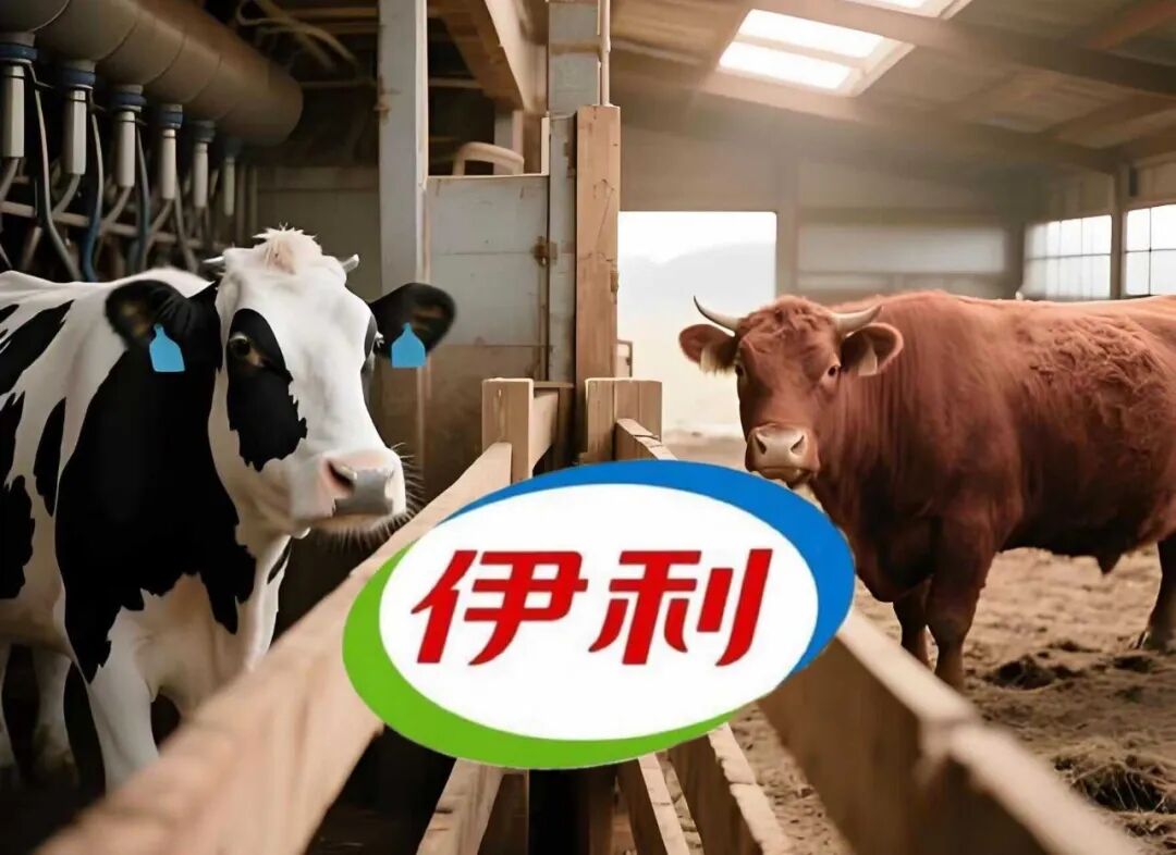 当奶价击穿成本线，伊利为何“高价”锁死优然牧业？