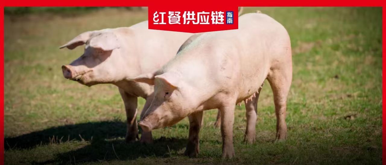 一家头部猪企，走上“破产边缘”