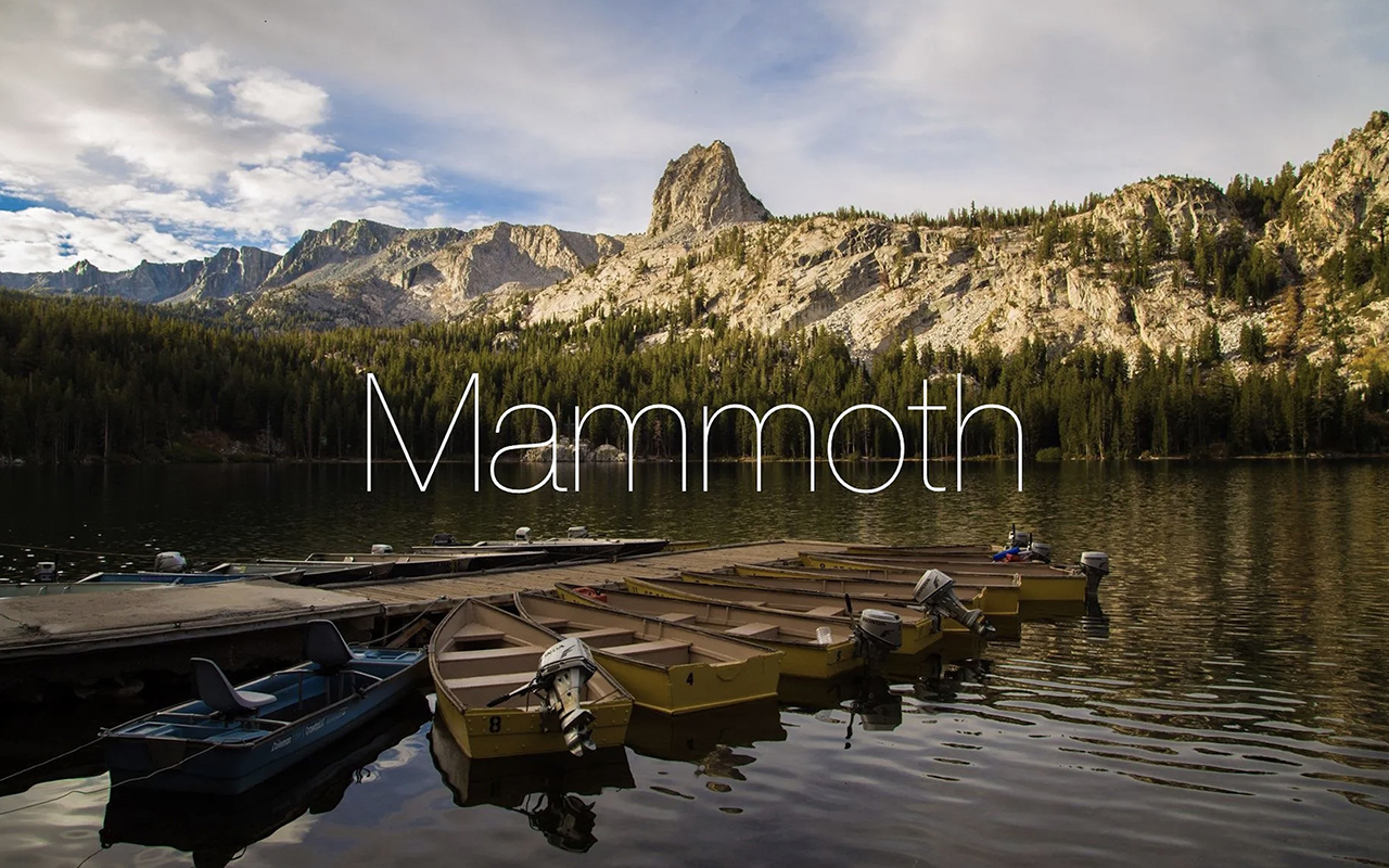“Mammoth”可能是新版 macOS 的名称 
这一商标延期已经在 11 月 16 日获得批准。