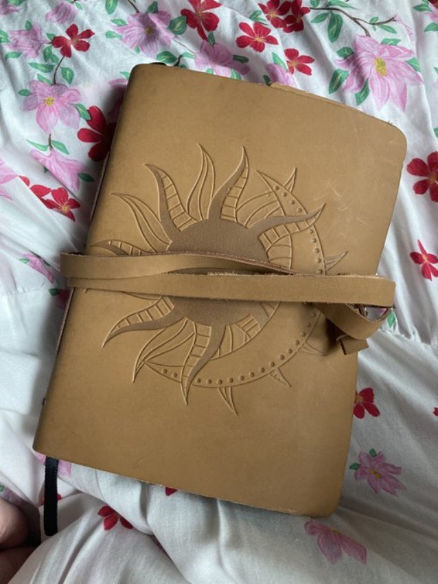 国外玩家分享自制的《艾尔登法环》专属手绘本