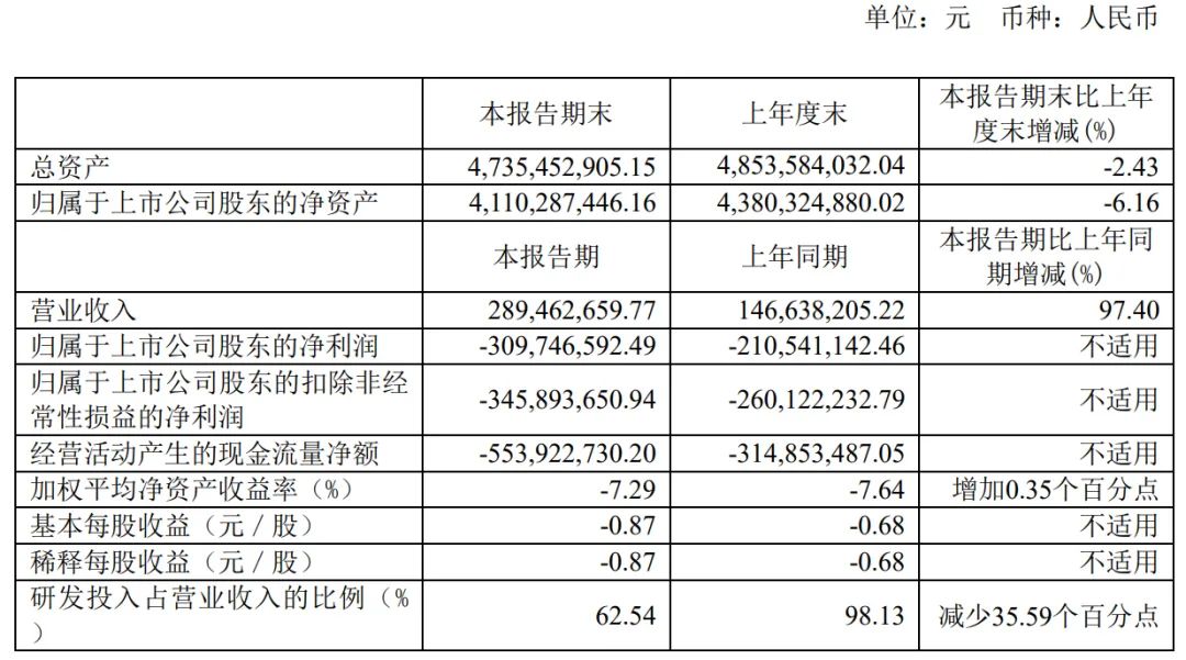 云天励飞2024年上半年营收2.9亿元 净亏3.1亿元