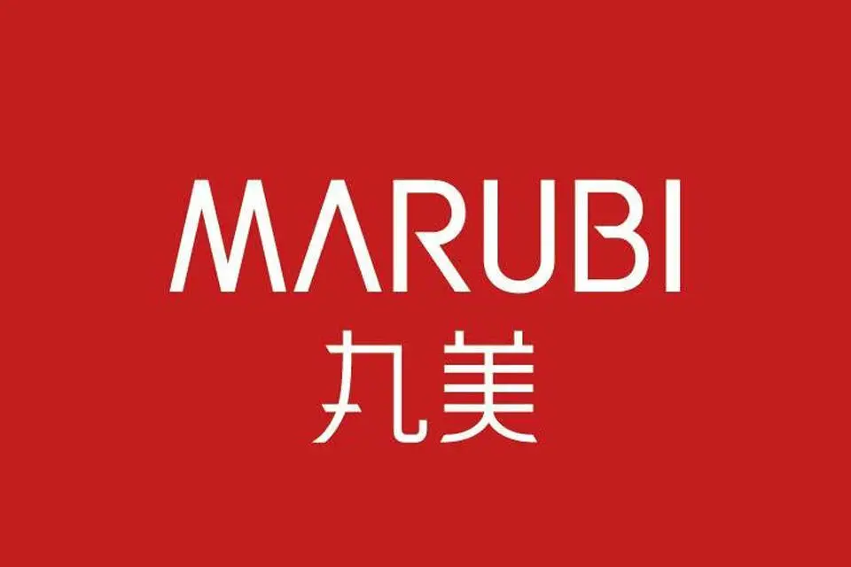 丸美生物虚增业绩被查，创始人被警示