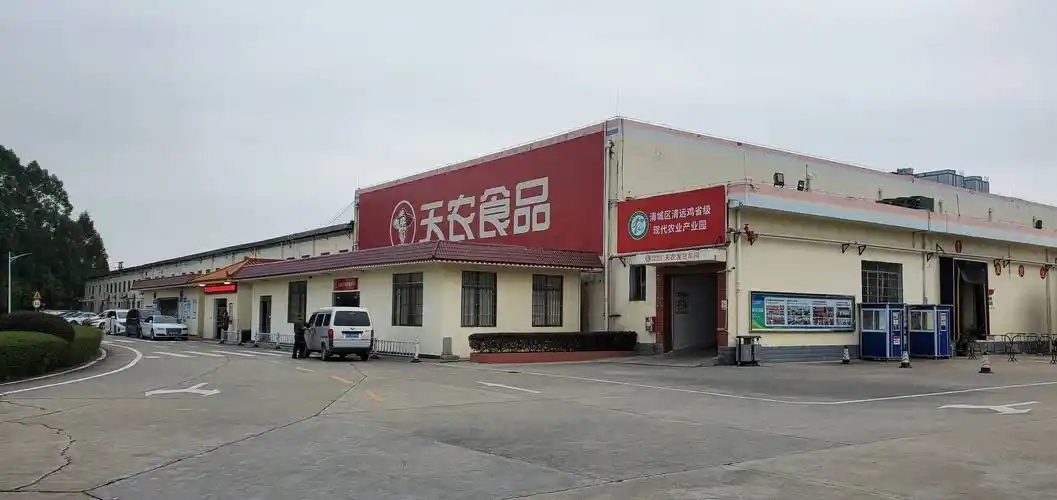 天农集团港股IPO：广东省第二大养鸡企业