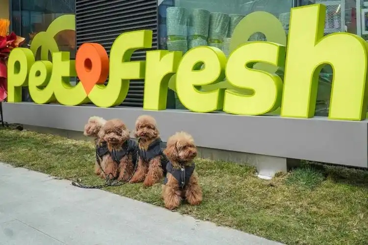 盒马创始人侯毅开的线下宠物超市派特鲜生将全关