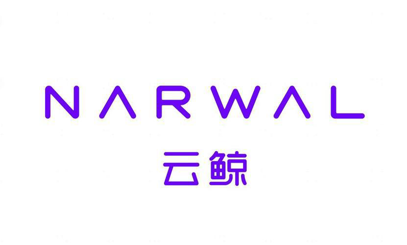 云鲸CEO发公司全员信：正全力冲击港股上市