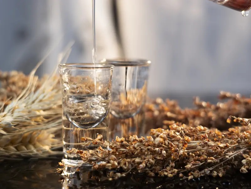 解碼2025白酒行業(yè)：在調(diào)整中重構(gòu)增長(zhǎng)新動(dòng)能