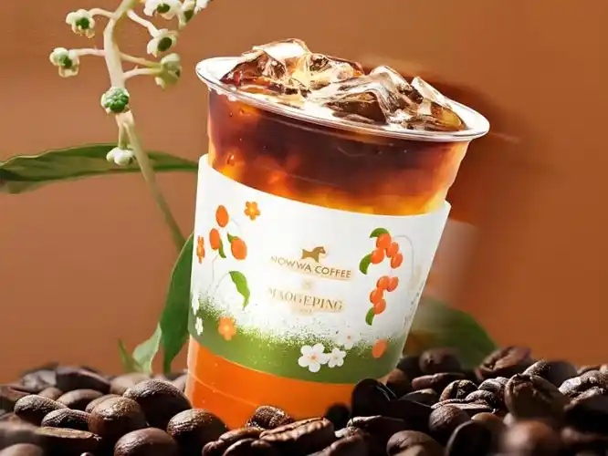 万店品牌「挪瓦咖啡」完成数亿元C轮系列融资