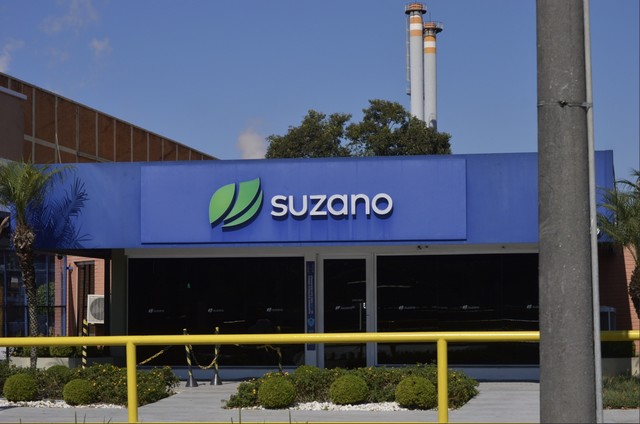 巴西纸浆生产商书赞桉诺公布2025年业绩：销量创纪录