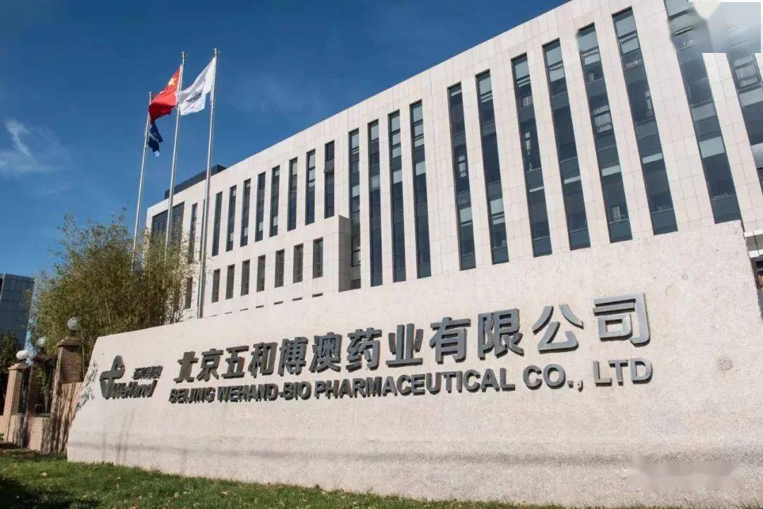 五和博澳冲刺港股：9个月营收2亿亏4572万