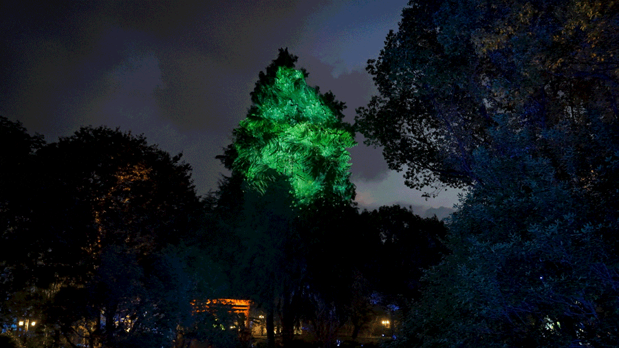 工程案例 | 水幕投影开出立体感荷花，乌镇《入梦灵水居》惊艳出圈-视听圈