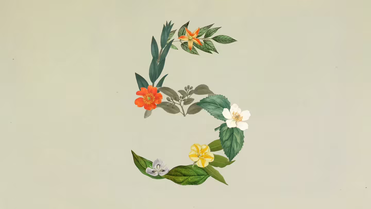 Claude Sonnet 5 登场，部分性能逼近 Opus 4.8