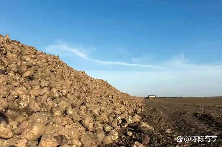 北方稀土上半年归母净利润20.5亿元，同比增长120.5%